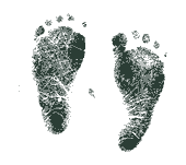 Infant footprints in ink